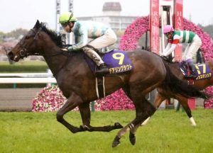 Cá cược đua ngựa